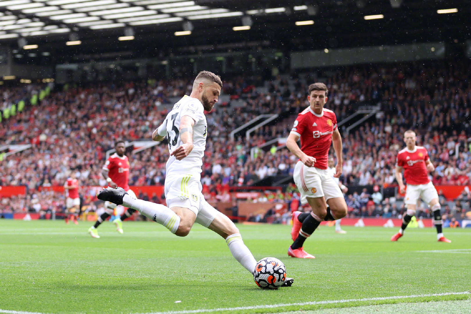 在这个充满 在这个充满